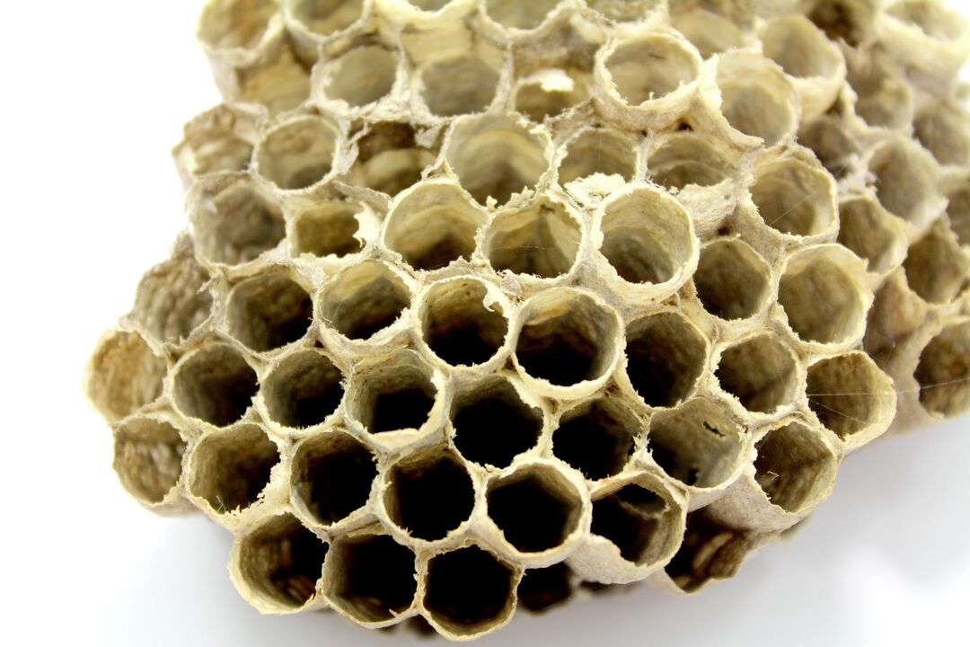 Bee Propolis Enhances Male Strength