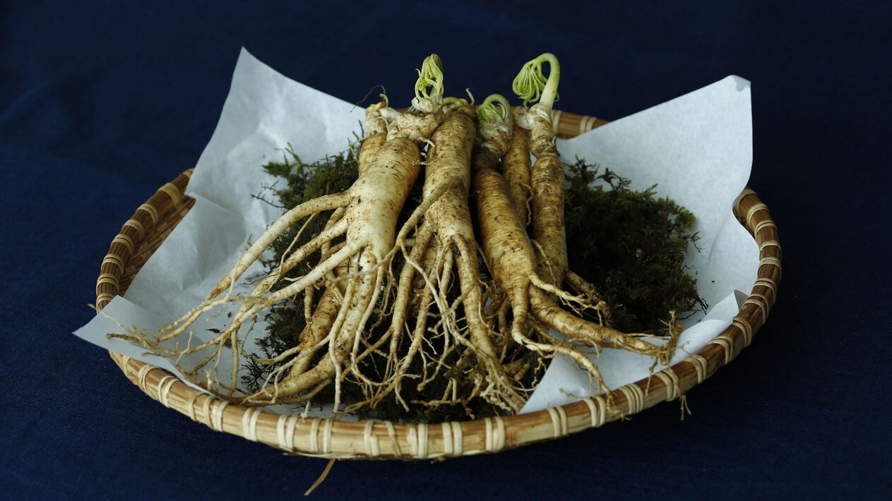 Ginseng Root Benefits