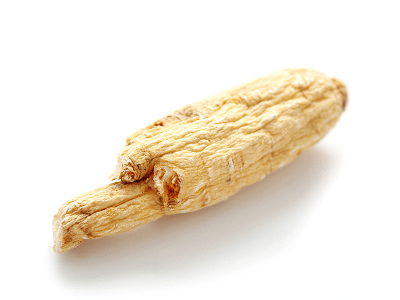 The effectiveness of Aralia root