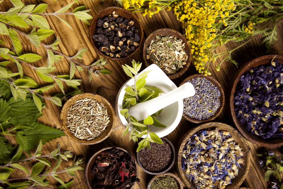 The power of healing herbs